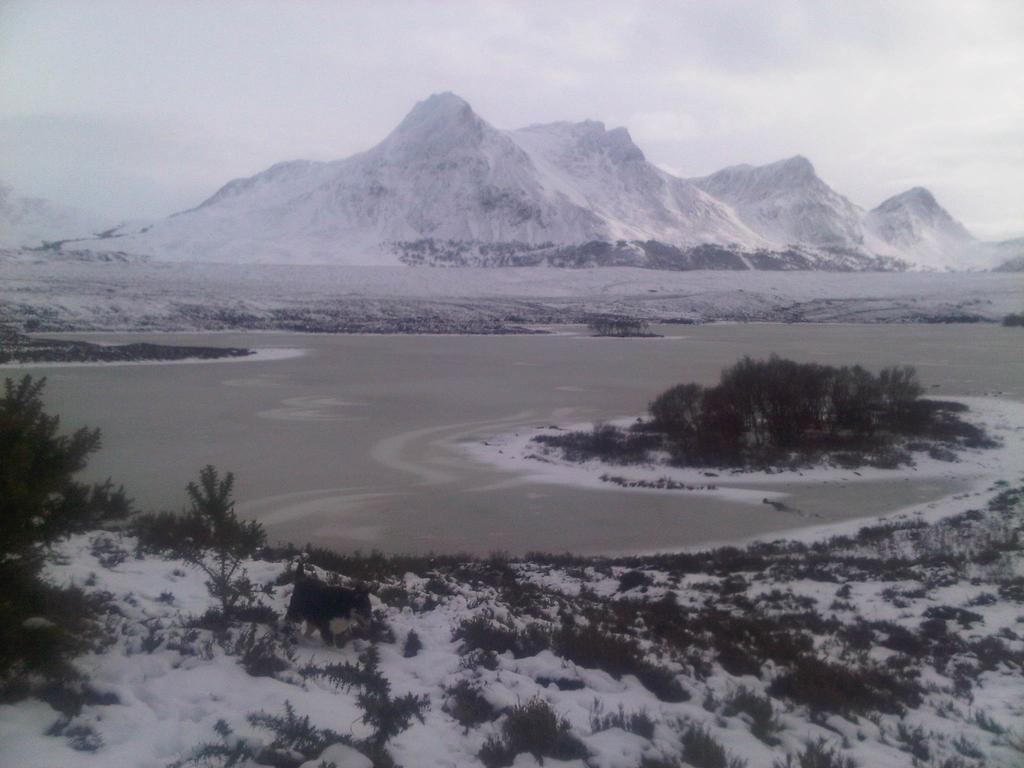 Ben Loyal Hotel Tongue Kültér fotó
